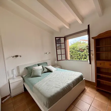De Charme A Cyprien Avec Piscine Et Jardin Mediterraneen, Et Commerces A 10 Minutes A Pieds Villa