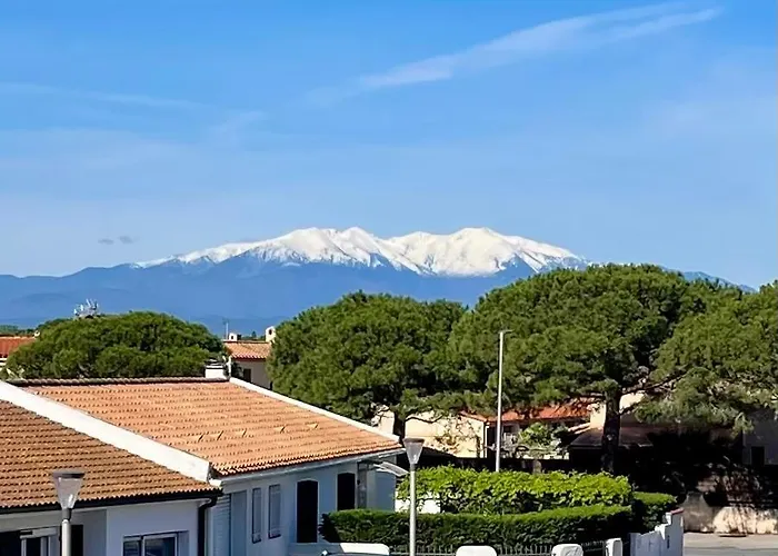 De Charme A Cyprien Avec Piscine Et Jardin Mediterraneen, Et Commerces A 10 Minutes A Pieds * Saint-Cyprien (Pyrenees-Orientales)