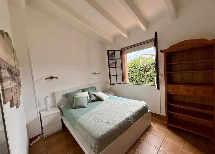 De Charme A Cyprien Avec Piscine Et Jardin Mediterraneen, Et Commerces A 10 Minutes A Pieds Βίλα