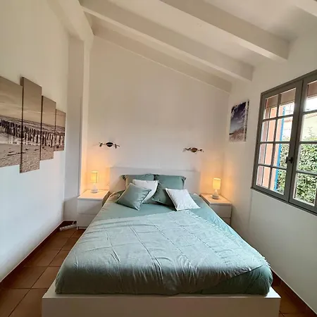 De Charme A Cyprien Avec Piscine Et Jardin Mediterraneen, Et Commerces A 10 Minutes A Pieds *