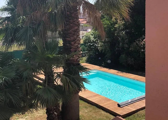 De Charme A Cyprien Avec Piscine Et Jardin Mediterraneen, Et Commerces A 10 Minutes A Pieds