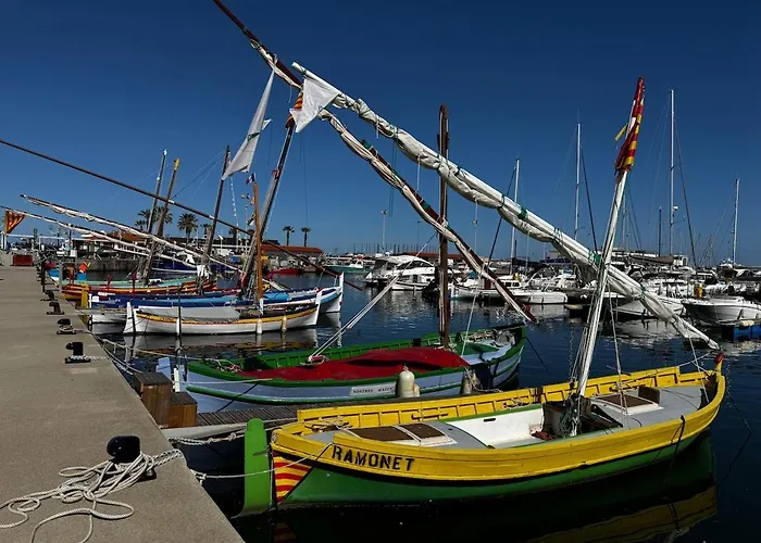 De Charme A Cyprien Avec Piscine Et Jardin Mediterraneen, Et Commerces A 10 Minutes A Pieds * سان سيبريان