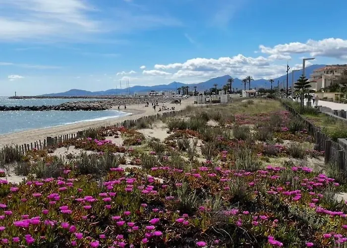 فيلة De Charme A Cyprien Avec Piscine Et Jardin Mediterraneen, Et Commerces A 10 Minutes A Pieds سان سيبريان